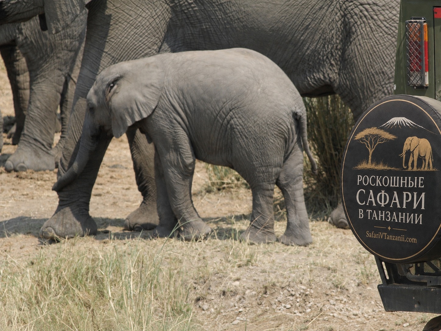 3 дня: Zanzibar → Serengeti fly-in private safari